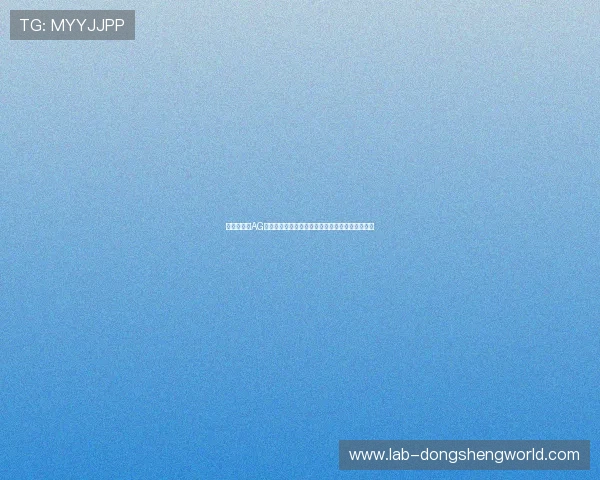 安全稳定的AG视讯中心登录通道,保障用户信息安全与顺畅体验