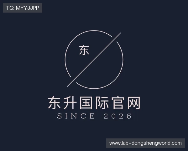 关于东升国际官网